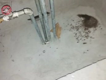 邹平卫生间测漏水价格明细